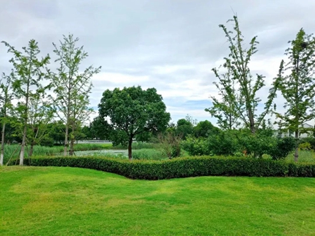 640 - 2023-08-10T111527.766_副本.jpg 640 - 2023-08-10T111527.766_副本.jpg